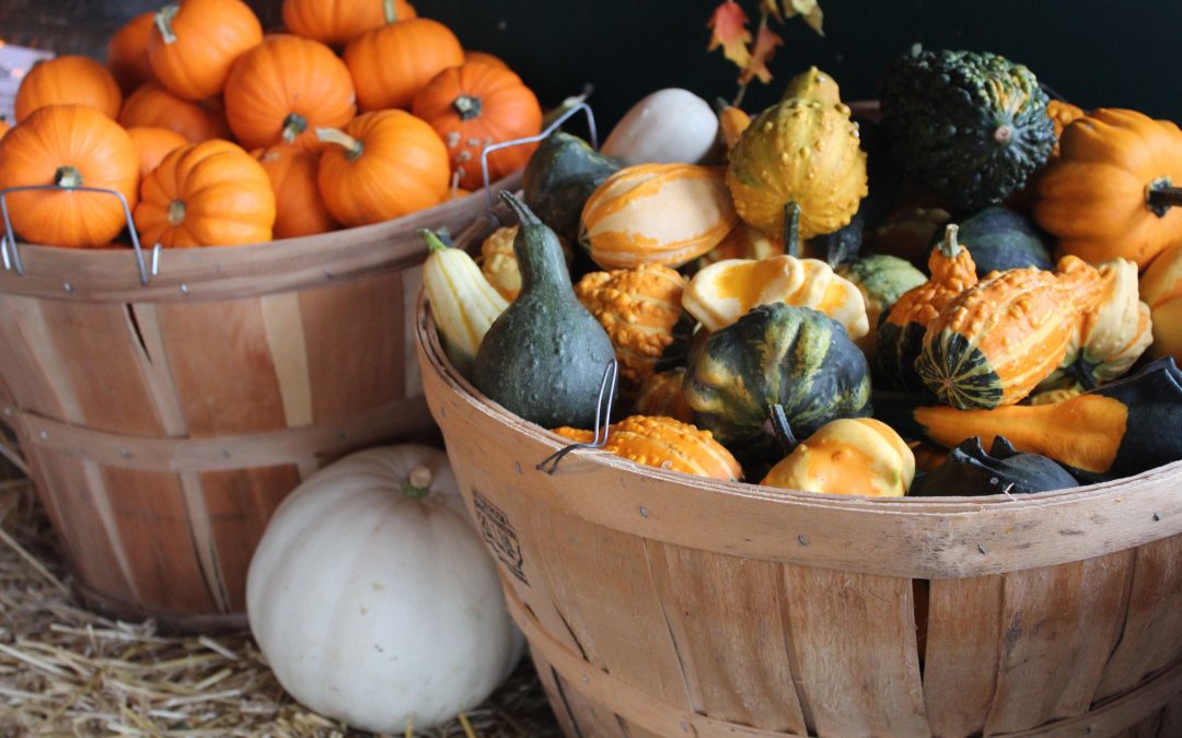 Operation Stockpile Week of 10/10 – 10/16: Produce & Fall Decorating Ideas