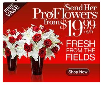 ProFlowers ~ Special Discount for Valentine’s Day 2013