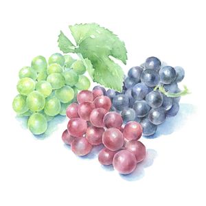 Buy Grapes At Season’s Peak and Save Money!