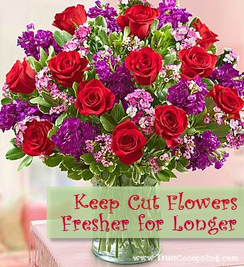 How to Keep Flowers Fresh Longer