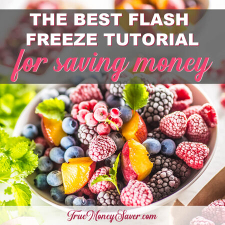 The Best Flash Freeze Tutorial For Saving Money All Year Long