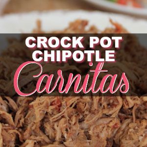 Save Money By Eating In With This Crock Pot Chipotle Carnitas Recipe