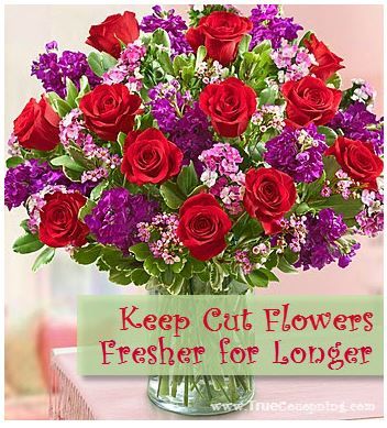 Keep Cut Flowers Fresher Longer