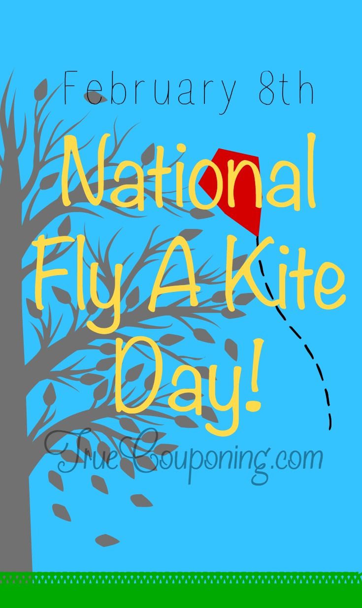 fly a kite day