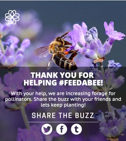 *Update: No Longer Available* FREE Wildflower Seed Packet!