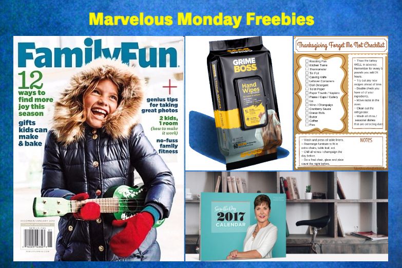 FOUR FREEbies: Annual Subscription to Family Fun Magazine, Seize the Day 2017 Calendar, Grime Boss Wipes and Thanksgiving Printable Checklist!
