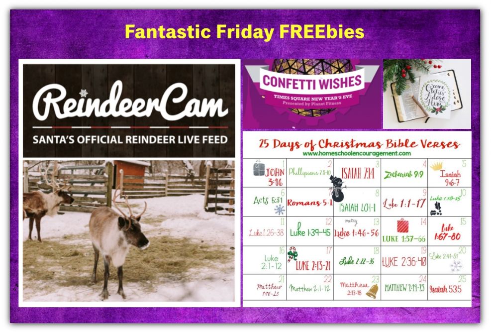 FOUR FREEbies:  Santa's Reindeer Cam, 25 Days of Christmas Bible Verses, Christmas Printable and New Year's Wishes Over Times Square!