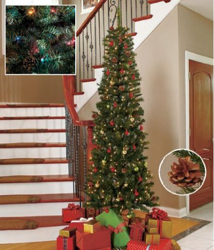 Need a Tree for a Narrow Space?