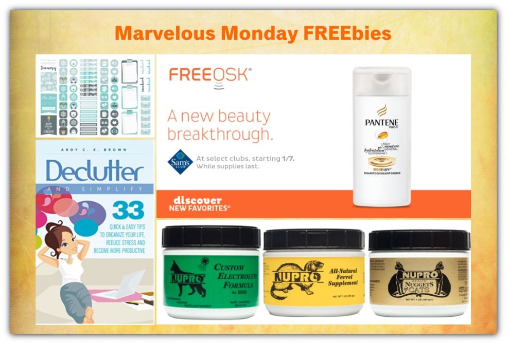 FOUR FREEbies:  Planner Sticker Printable for January, Pantene DreamCare Shampoo, Nupro Pet Supplements and 33 Proven Ways to Declutter eBook!