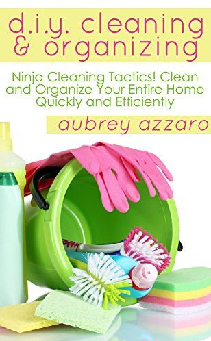 FREE DIY Cleaning & Organization eBook!