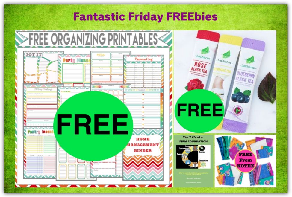 FOUR FREEbies: Ultimate List of Organizing Printables, Bible Study for Women, LeCharm Tea and Kotex Products!