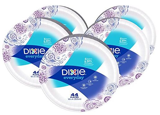 Large Dixie Paper Plates are Perfect for Your BBQ!