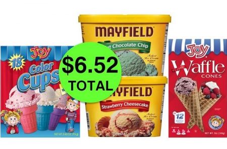I SCREAM for TWO (2!) Mayfield Ice Creams AND TWO (2!) Joy Cones JUST ...