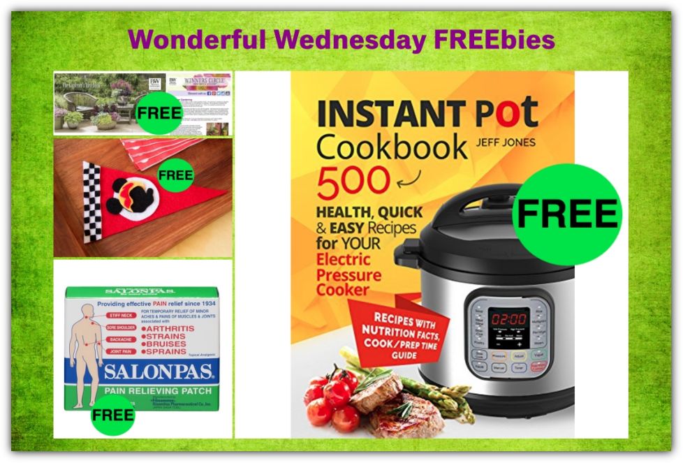 FOUR FREEbies: Gardener's Idea Book, 500 Instant Pot Recipes eCookbook, Salonpas Pain Relieving Patch and Mickey & the Roadsters Racers Pennant!
