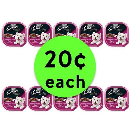 Treat Your Sweet Pup with 20¢ Cesar Dog Food at Publix! ~ Starts Weds/Thurs!