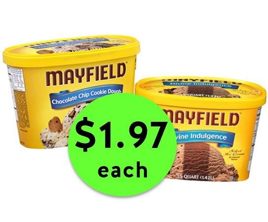 Indulge In $1.97 Mayfield Ice Cream at Publix! ~ Happening Right Now!