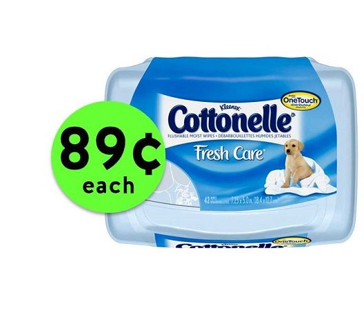 Freshen Up with 89¢ Cottonelle Fresh Care Wipes at Publix! ~ Going On Now!