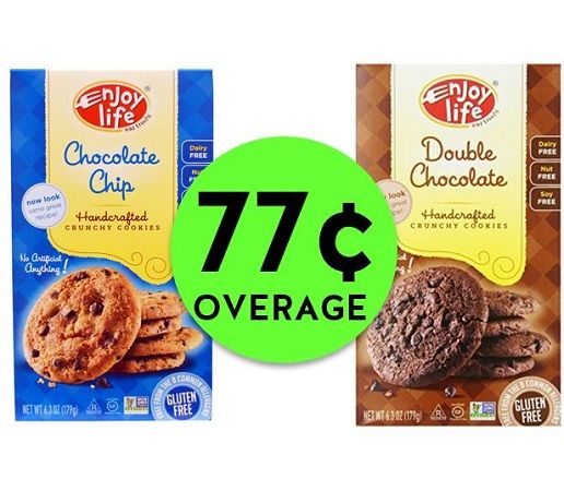 TWO (2!) FREE Cookies + 77¢ Overage on Enjoy Life Cookies at Publix! ~ NOW!