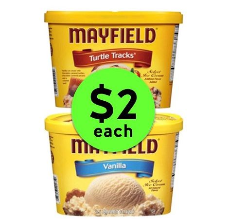 I Scream, You Scream for $2 Mayfield Ice Cream at Publix! ~ Starts Weds/Thurs!