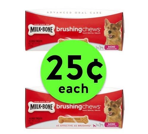 Treat Your Sweet Furbaby with 25¢ Milk-Bone Brushing Chews Dog Treats at Publix! ~ Starts Weds/Thurs!