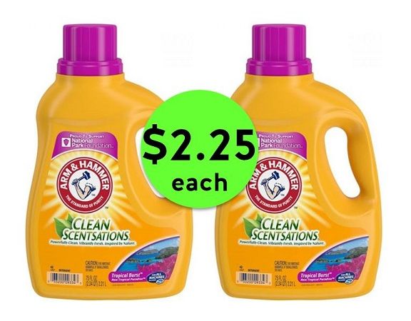 Don't Miss Arm & Hammer Detergent ONLY $2.25 Each at Publix! ~ Ends Tues/Weds!