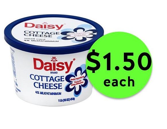 Hurry Into Publix For 1 50 Daisy Cottage Cheese Ends Tonight