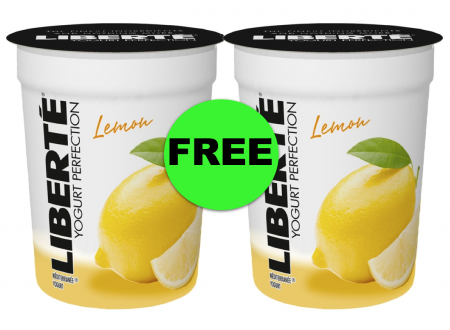 YAY! TWO (2) FREE Liberte Yogurts at Publix ~ Starts Saturday!