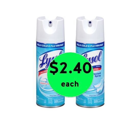 Germs Be Gone! Get TWO (2!) Lysol Disinfectant Spray ONLY $2.40 Each at Winn Dixie! ~ Right Now!