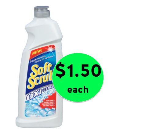 Get Soft Scrub Cleanser Only $1.50 Each at Winn Dixie! ~ Right Now!