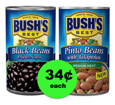 Get Ready For Chili This Fall! Get Bush's Beans For 34¢ EACH at Publix – Right Now!