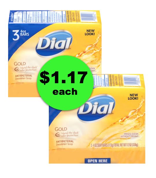 Hit the Showers! Publix Has Dial Bar Soap 3-Packs For ONLY $1.17 Each ~ Right Now!