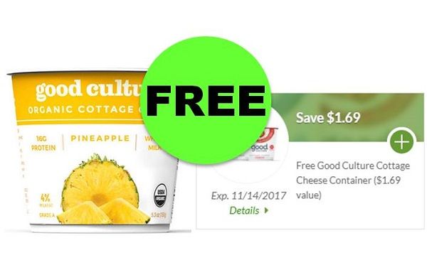 (**Updated: NLA**) Clip NOW for FREE Good Culture Cottage Cheese at Publix! ~ NOW!