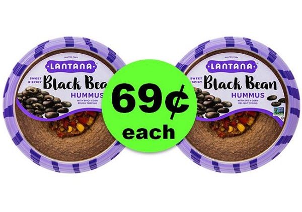 Dig Into 69¢ Lantana Hummus at Target! ~ Right Now!