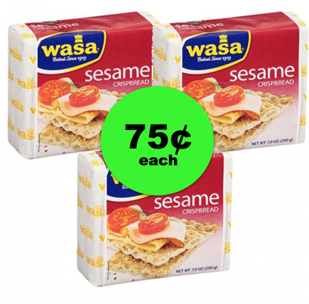 Healthy Snack or Quick Lunch – Get Wasa Crispbread For 75¢ at Publix ~ NOW!