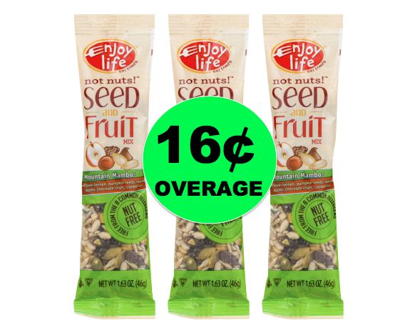Snack Stock Up! Get THREE (3!) FREE Enjoy Life Snacks + 16¢ Overage at Walmart! ~ Right NOW!