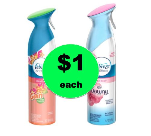 Pick Up TWO (2!) Febreze Air Effects Only $1 Each at Winn Dixie! ~ Right Now!