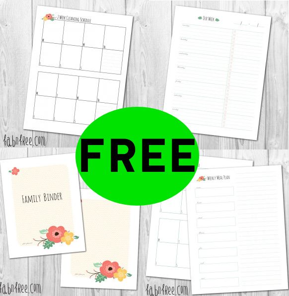 FREE Organization Printables!