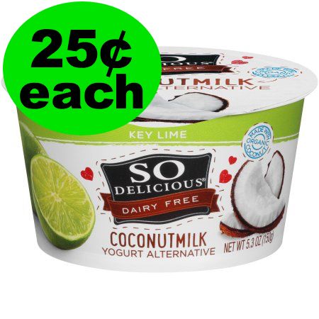 So Delicious Dairy FREE Yogurt ONLY 25¢ at Publix ~ Starts Saturday!