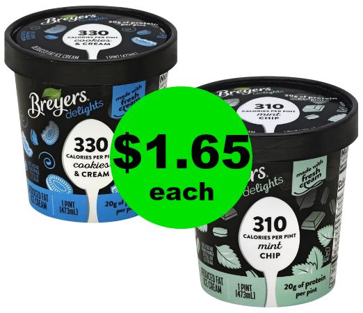 I Scream, You Scream! We all Scream for ICE CREAM! Breyer’s Delights Pints at Publix for Only $1.65 ~ Starts Friday!