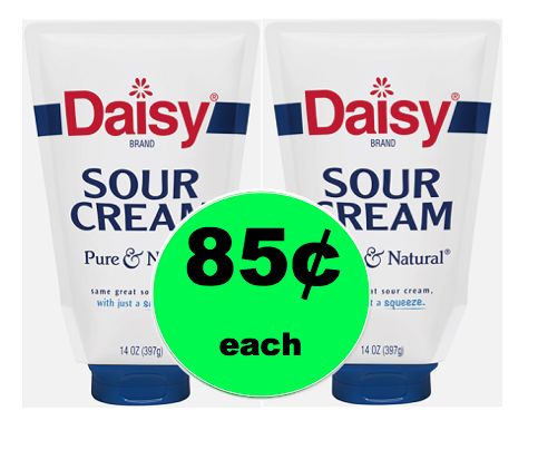 Love Daisy Sour Cream Squeeze Bottles? Get Them for 85¢ Each at Winn Dixie! ~Ends Tomorrow!