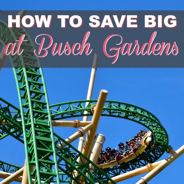 How To Save Big At Busch Gardens Tampa Have Fun Save Money