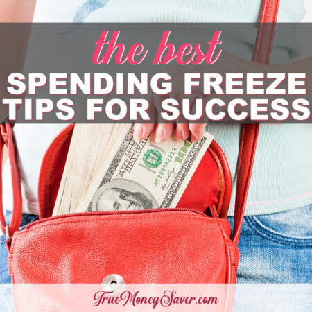 The Best Spending Freeze Tips To Be Successful This Year