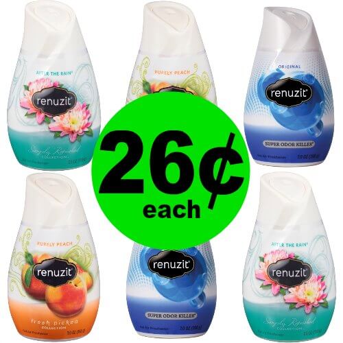 Kick Out the Stink! Grab Renuzit Air Fresheners for 26¢ Each at CVS! (1/7 – 1/13)