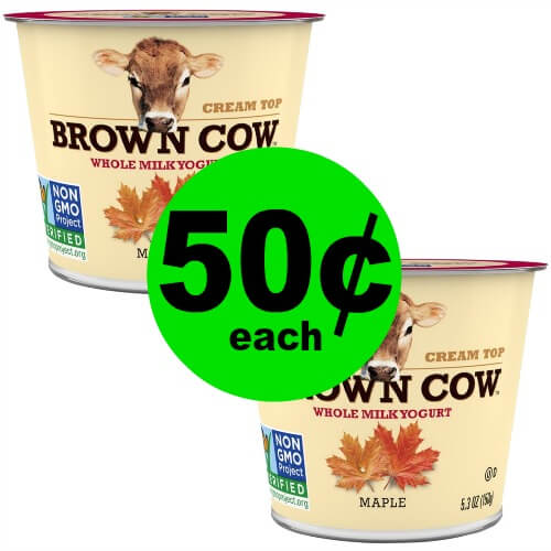 Clip Your Coupons and Enjoy Brown Cow Yogurt for 50¢ Each at Publix! (Ends 2/24)