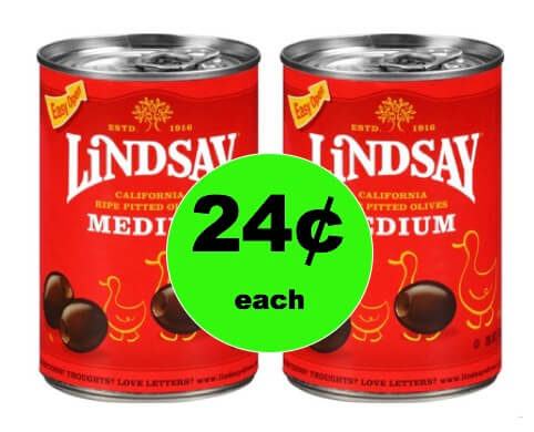 Pick Up Lindsay Olives Only 24¢ Each at Walgreens! (Ends 2/10)