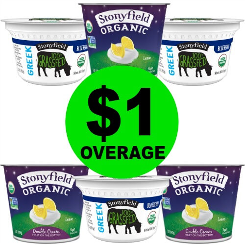 Print NOW! Snag SIX (6!) FREE + $1 OVERAGE on Stonyfield Yogurt at Publix! 2/22 – 2/28 (or 2/21 – 2/27)