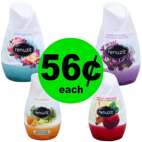Kick Out the Stink! Grab Renuzit Air Fresheners for 56¢ Each at Publix! (4/4-4/7 or 4/5-4/7)