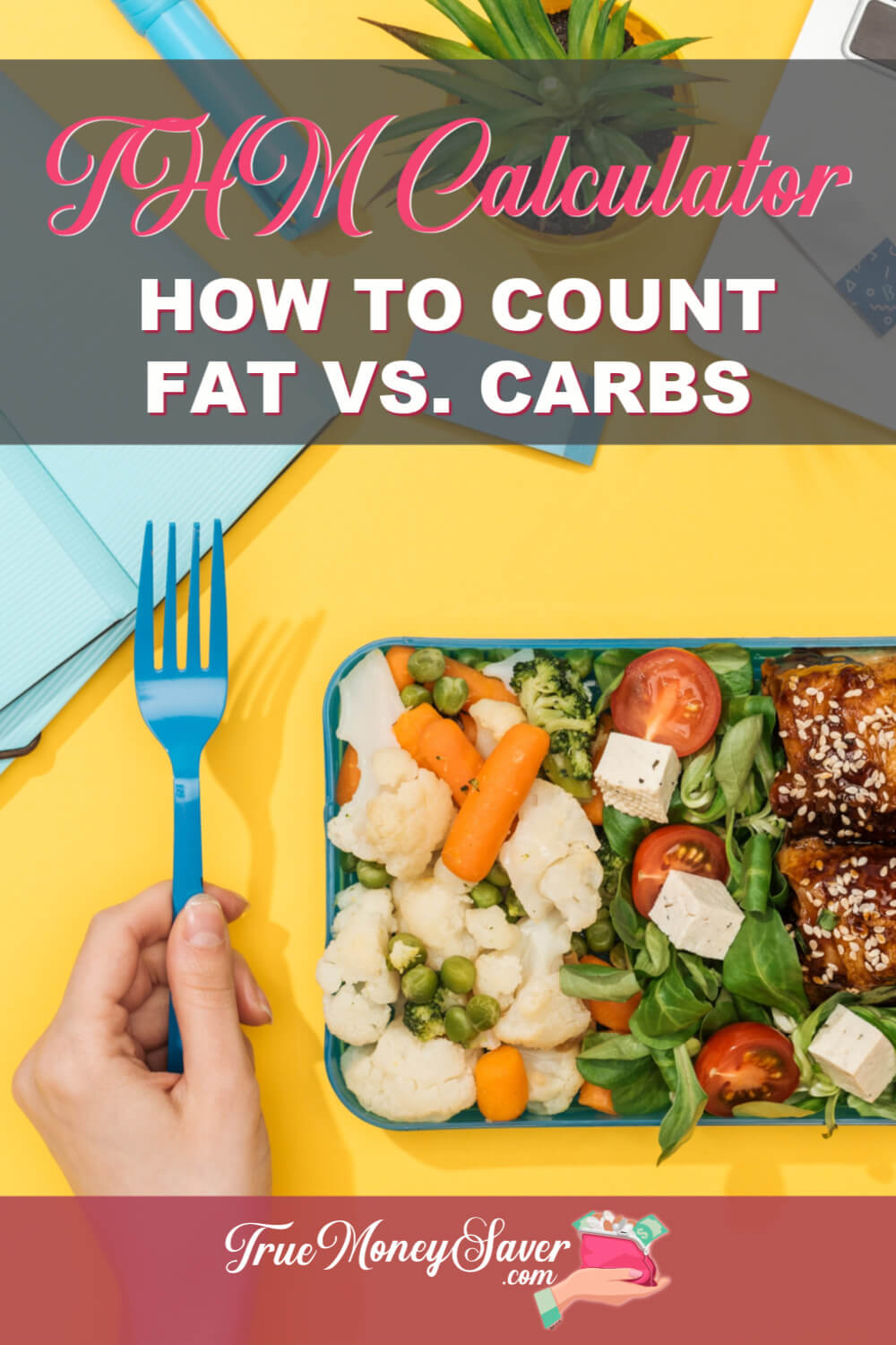 THM Calculator: How To Count Fat vs Carbs On Trim Healthy Mama