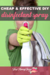 The Best DIY Disinfectant Spray To Make This Year