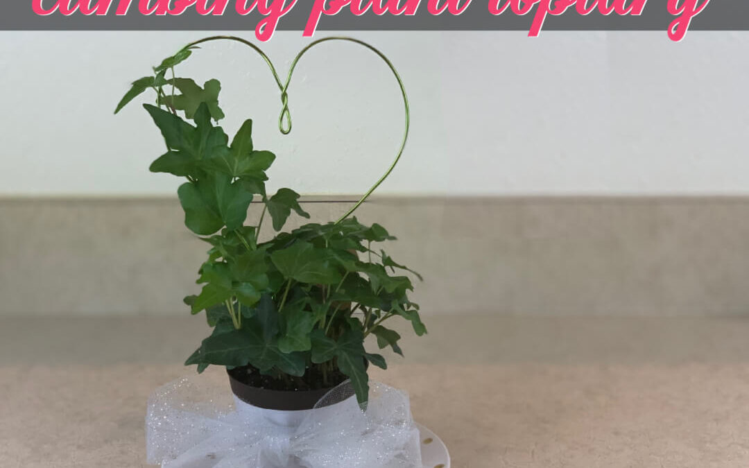 How To Make A Climbing Plant Into A Topiary Gift